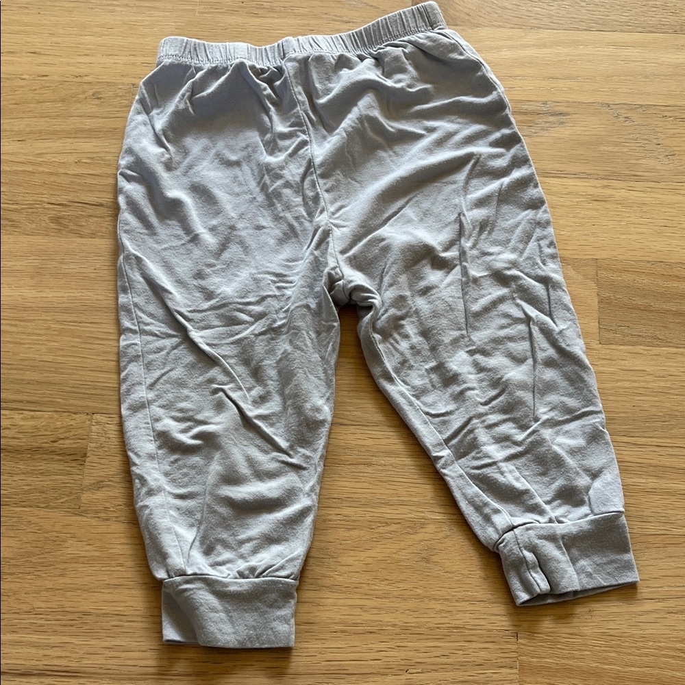 (Play condition) Kyte baby  12-18months 
Gray Jogger Pants